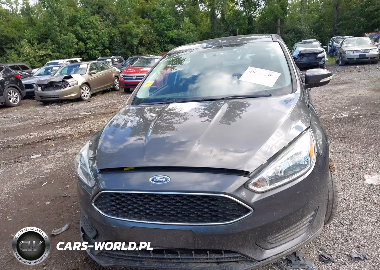 2015 Ford Focus Se VIN:1FADP3F29FL352062 - 12