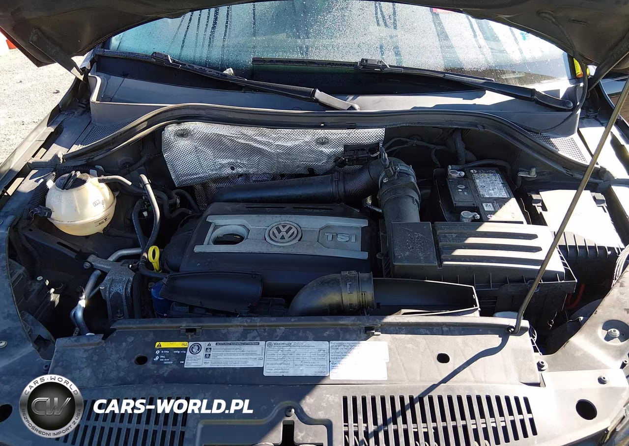 2017 Volkswagen Tiguan 2.0T Wolfsburg Edition VIN:WVGSV7AX1HK002933 - 10