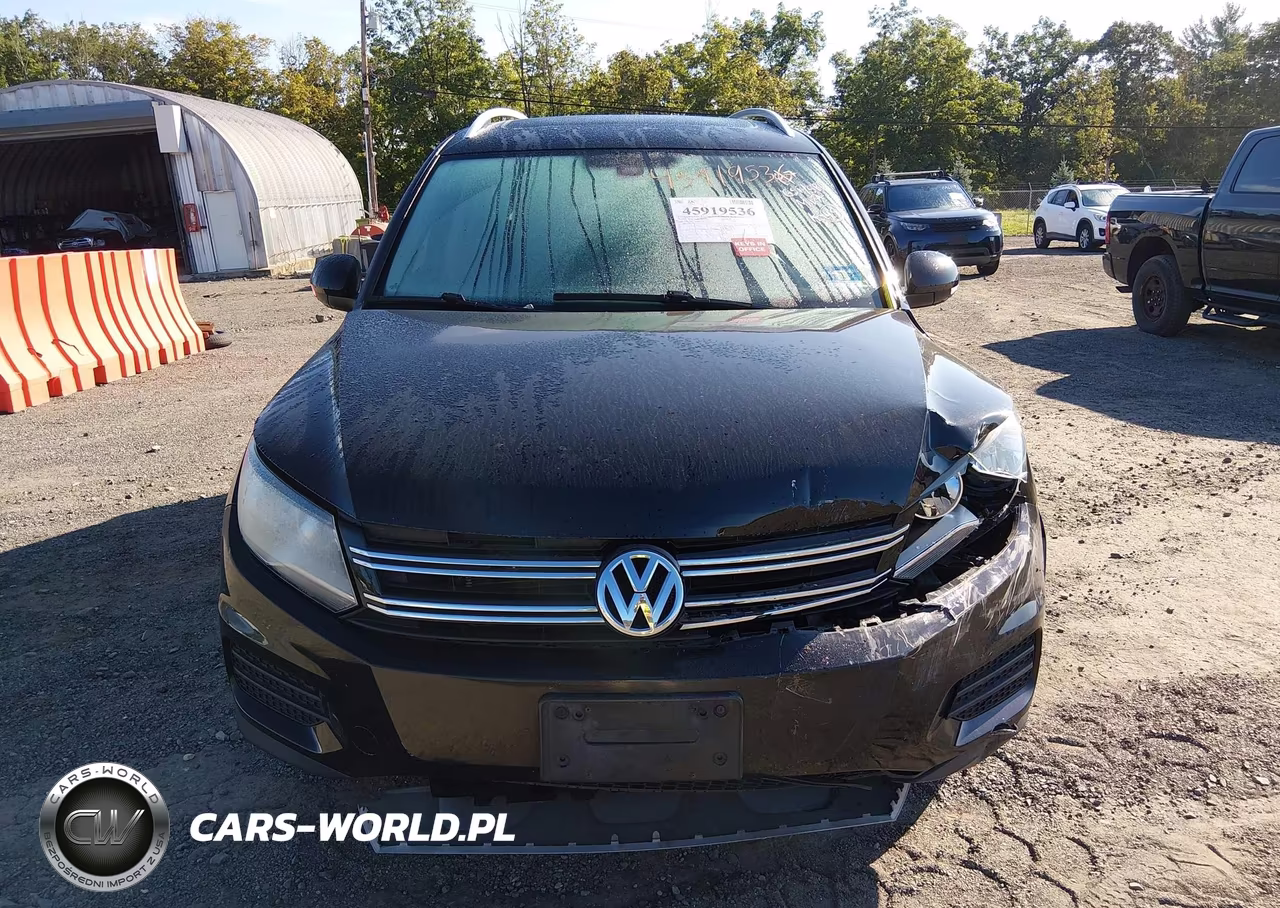 2017 Volkswagen Tiguan 2.0T Wolfsburg Edition VIN:WVGSV7AX1HK002933 - 12