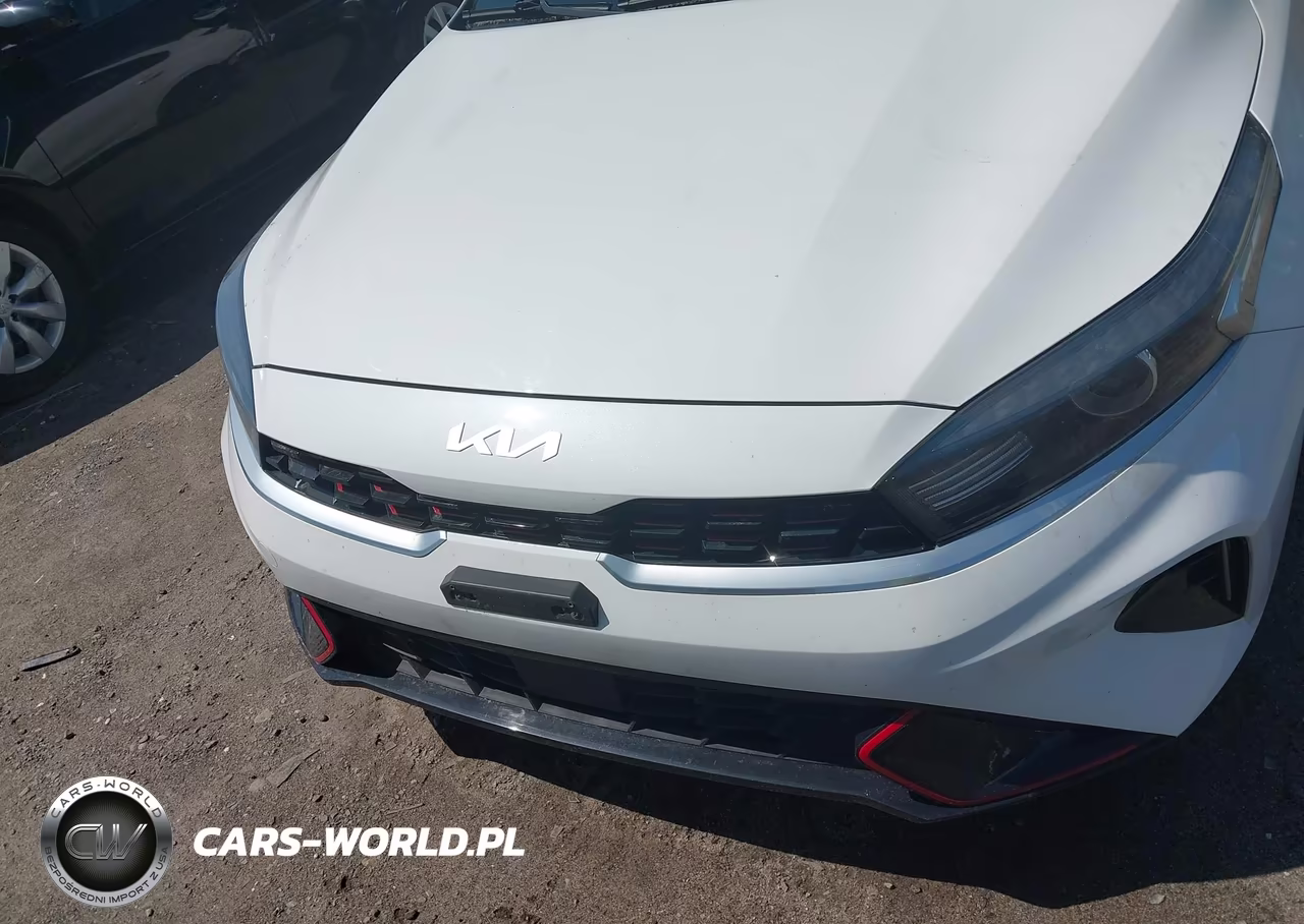 2022 Kia Forte Gt-Line VIN:3KPF54ADXNE508222 - 10