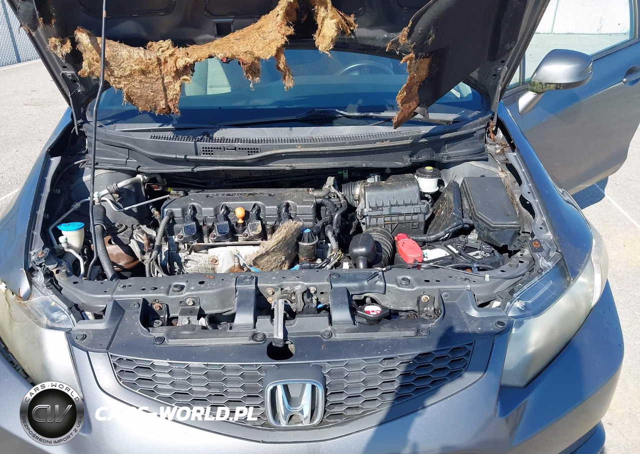 2013 Honda Civic Ex VIN:2HGFG3B84DH501650 - 10