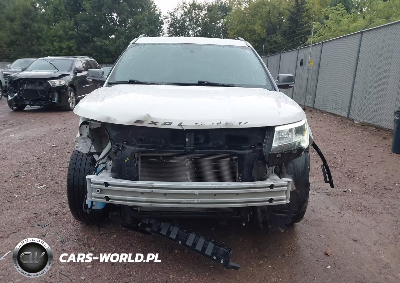 2019 Ford Explorer Xlt VIN:1FM5K8D89KGA60976 - 13