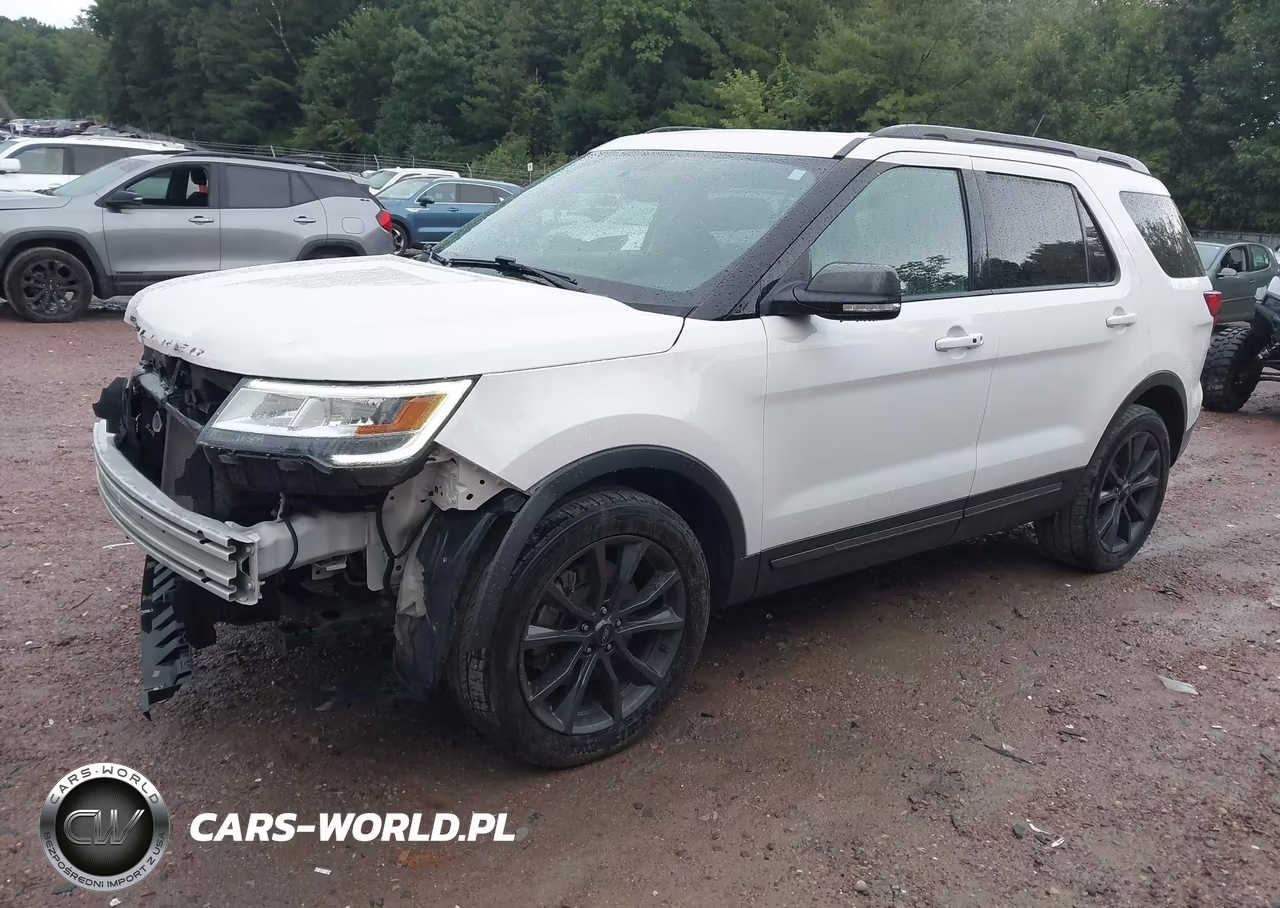 2019 Ford Explorer Xlt VIN:1FM5K8D89KGA60976 - 2