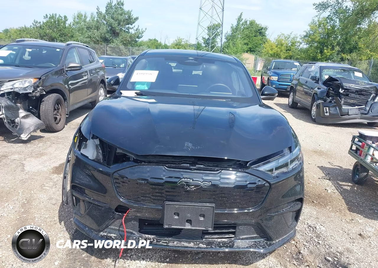 2025 Ford Mustang Mach-E Gt VIN:3FMTK4SX6SMA42693 - 12