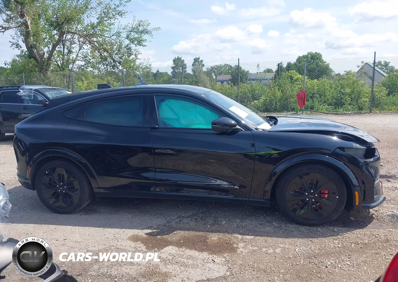 2025 Ford Mustang Mach-E Gt VIN:3FMTK4SX6SMA42693 - 13