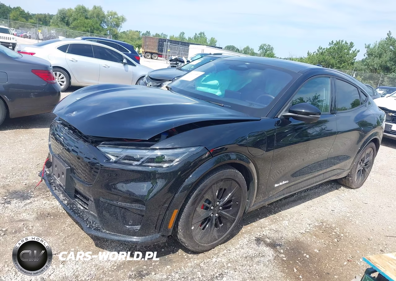 2025 Ford Mustang Mach-E Gt VIN:3FMTK4SX6SMA42693 - 2