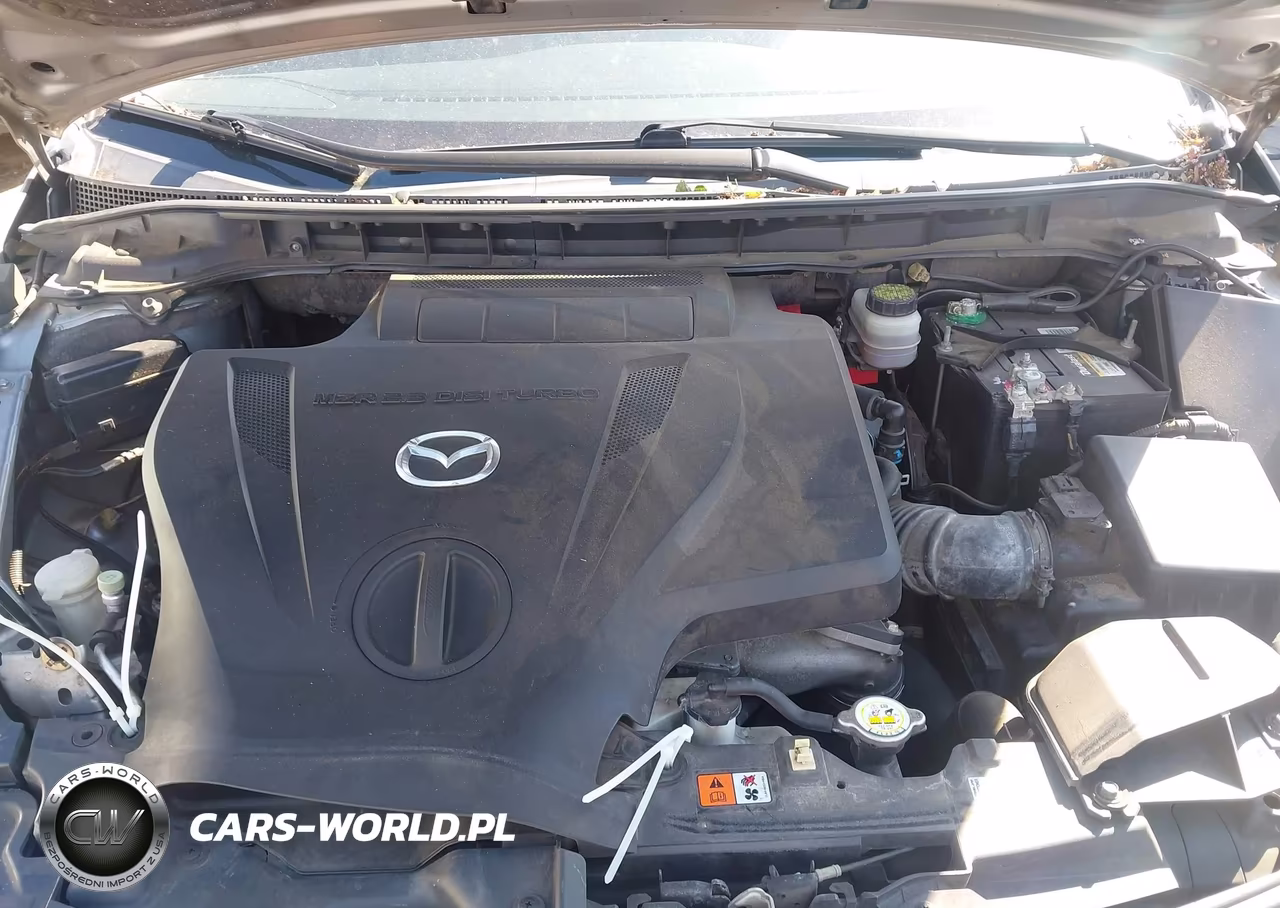 2010 Mazda Cx-7 S Touring VIN:JM3ER2W38A0330258 - 10