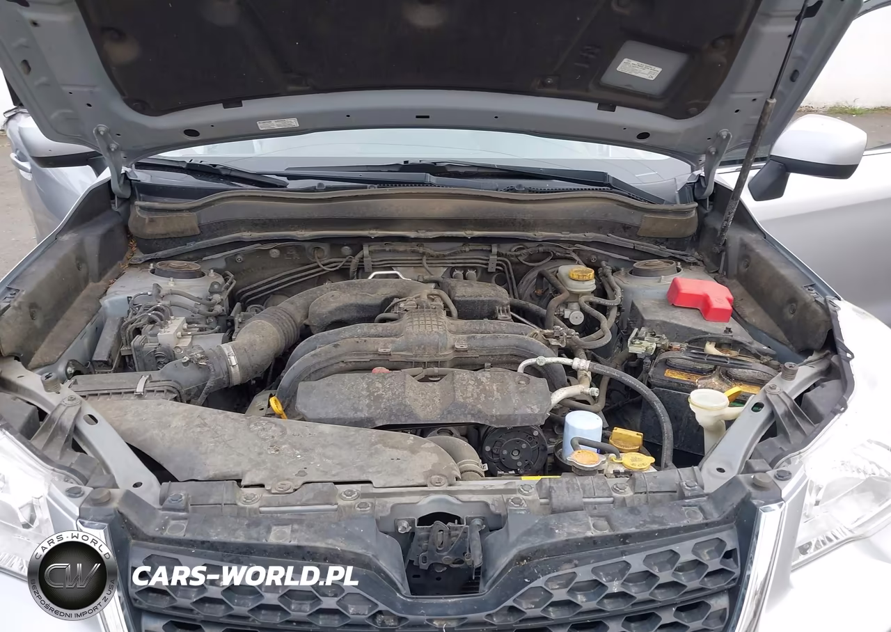 2016 Subaru Forester 2.5I Limited VIN:JF2SJARC6GH473262 - 10