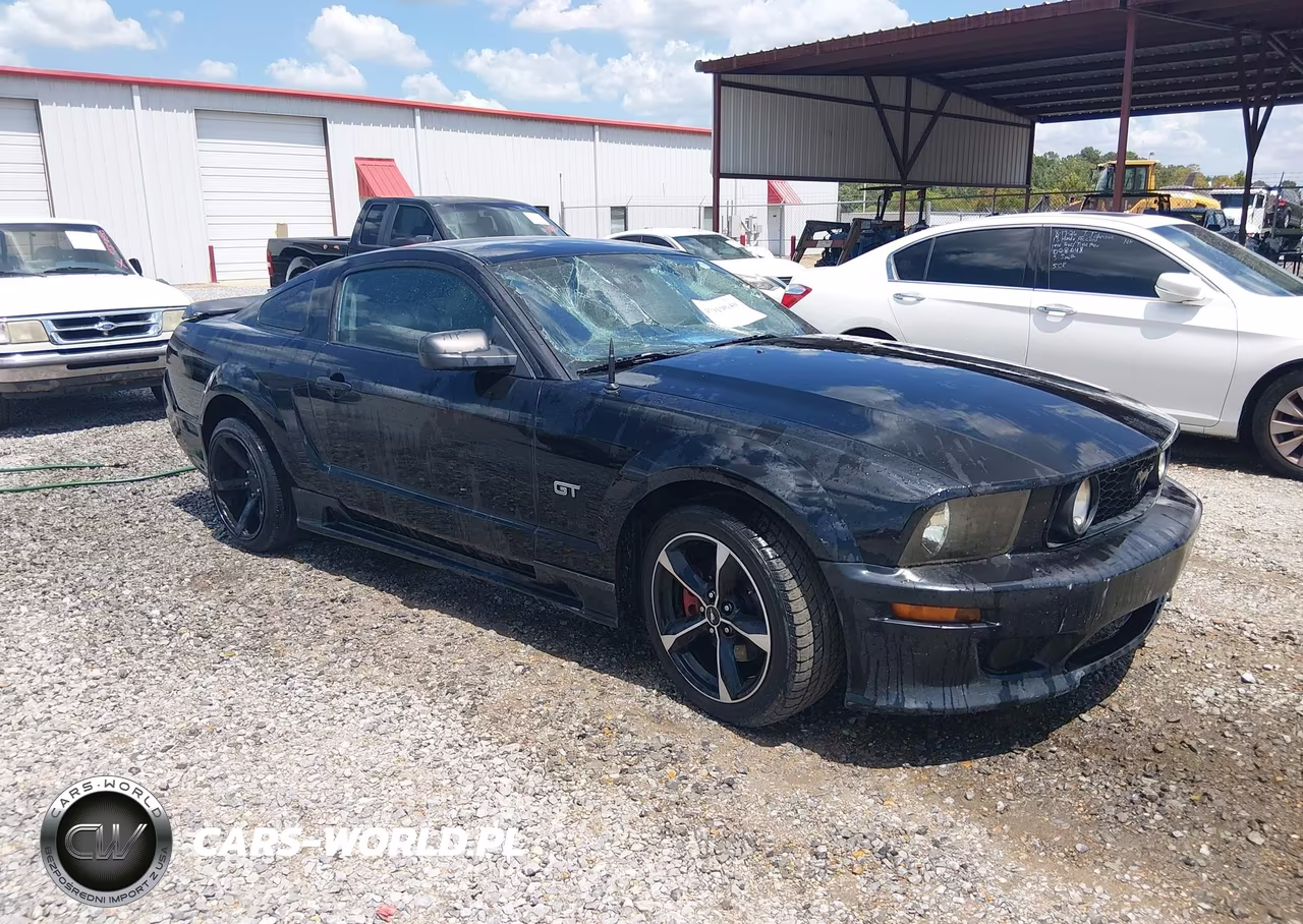 2006 Ford Mustang Gt VIN:1ZVFT82H865215041 - 1