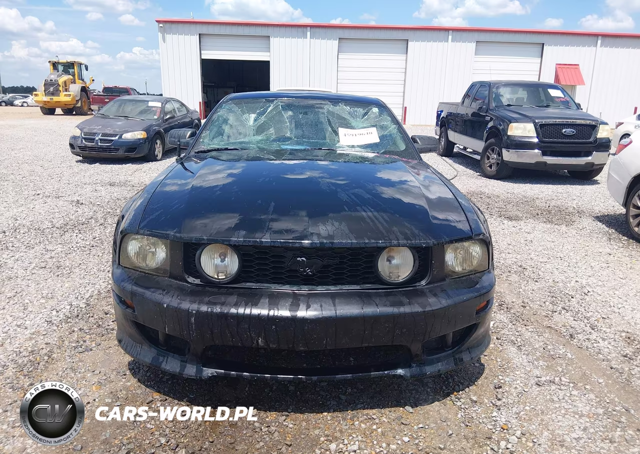 2006 Ford Mustang Gt VIN:1ZVFT82H865215041 - 11