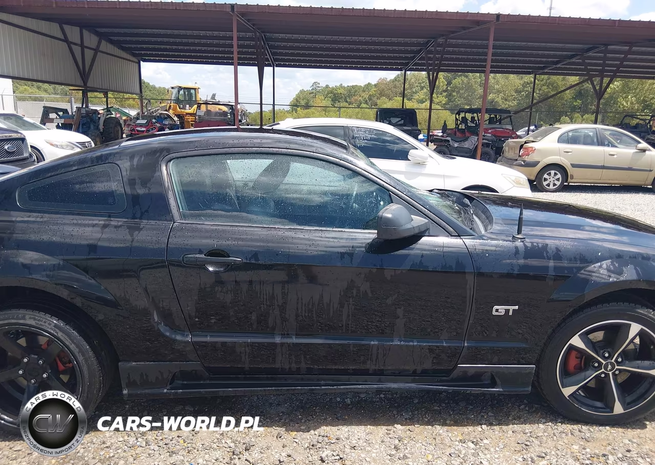 2006 Ford Mustang Gt VIN:1ZVFT82H865215041 - 12
