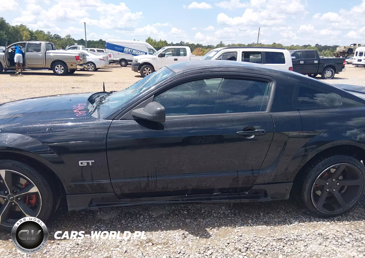 2006 Ford Mustang Gt VIN:1ZVFT82H865215041 - 13