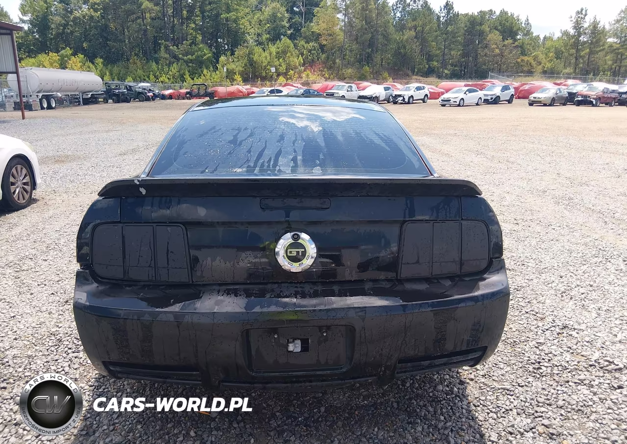 2006 Ford Mustang Gt VIN:1ZVFT82H865215041 - 15