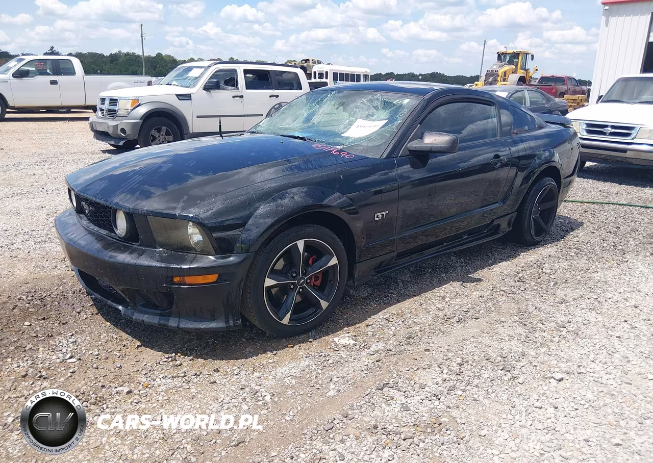 2006 Ford Mustang Gt VIN:1ZVFT82H865215041 - 2
