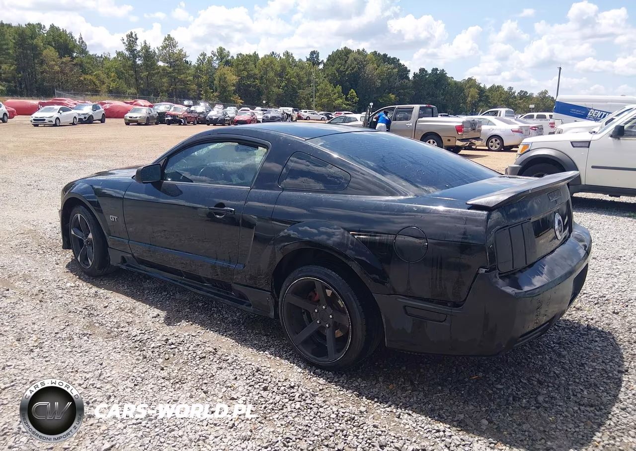 2006 Ford Mustang Gt VIN:1ZVFT82H865215041 - 3