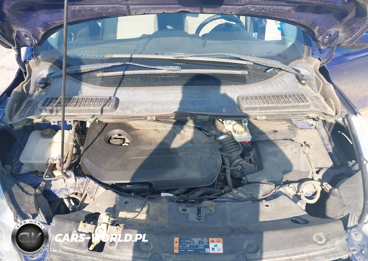 2014 Ford Escape Se VIN:1FMCU9GX4EUC45176 - 10