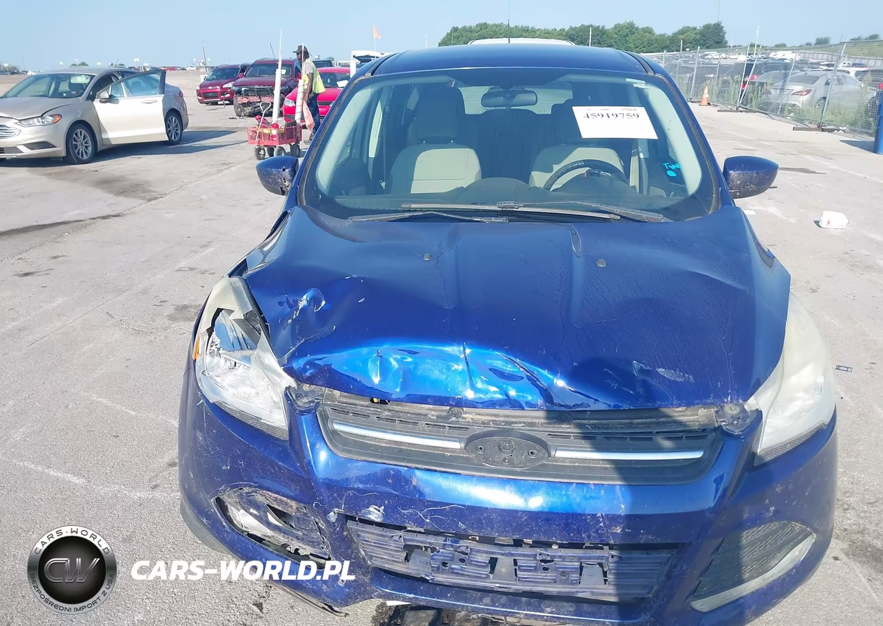 2014 Ford Escape Se VIN:1FMCU9GX4EUC45176 - 12