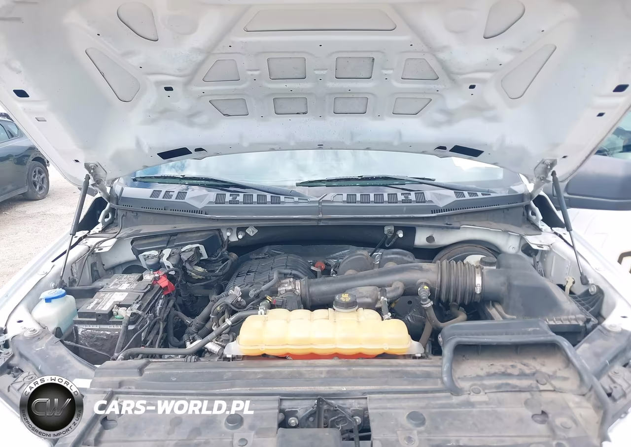 2019 Ford F-150 Xl VIN:1FTMF1CB0KKC00984 - 10