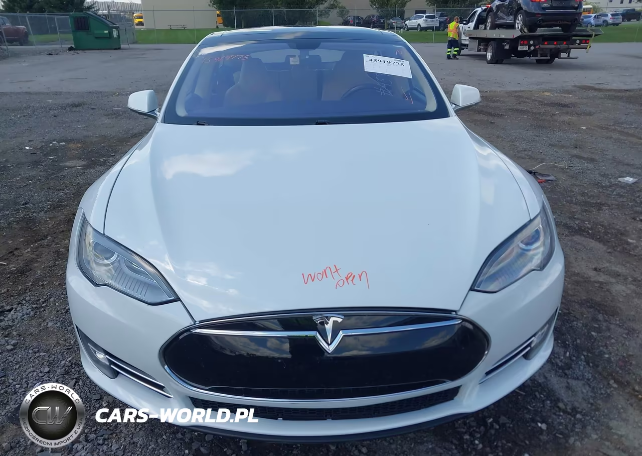2013 Tesla Model S Performance VIN:5YJSA1DP2DFP13475 - 12