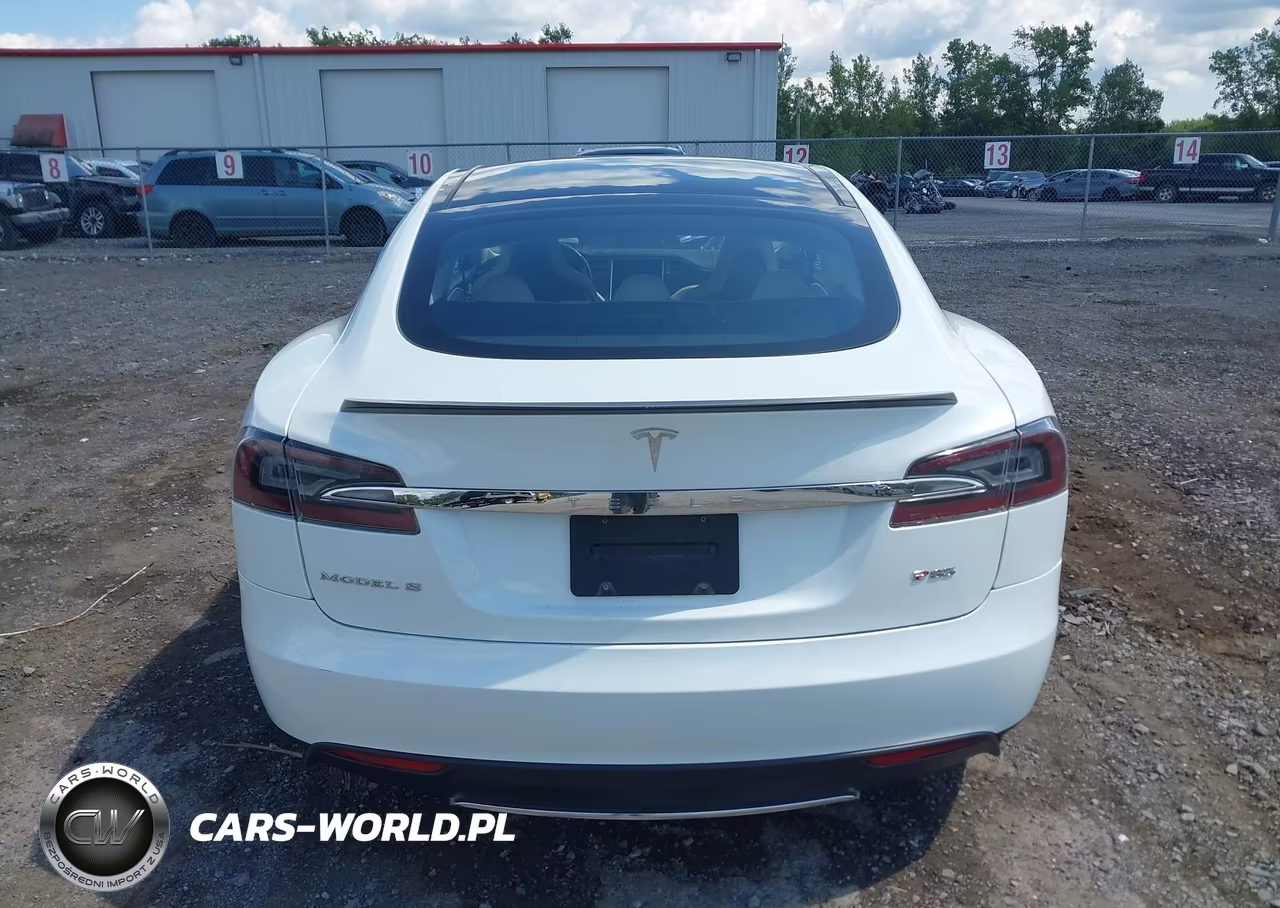 2013 Tesla Model S Performance VIN:5YJSA1DP2DFP13475 - 16