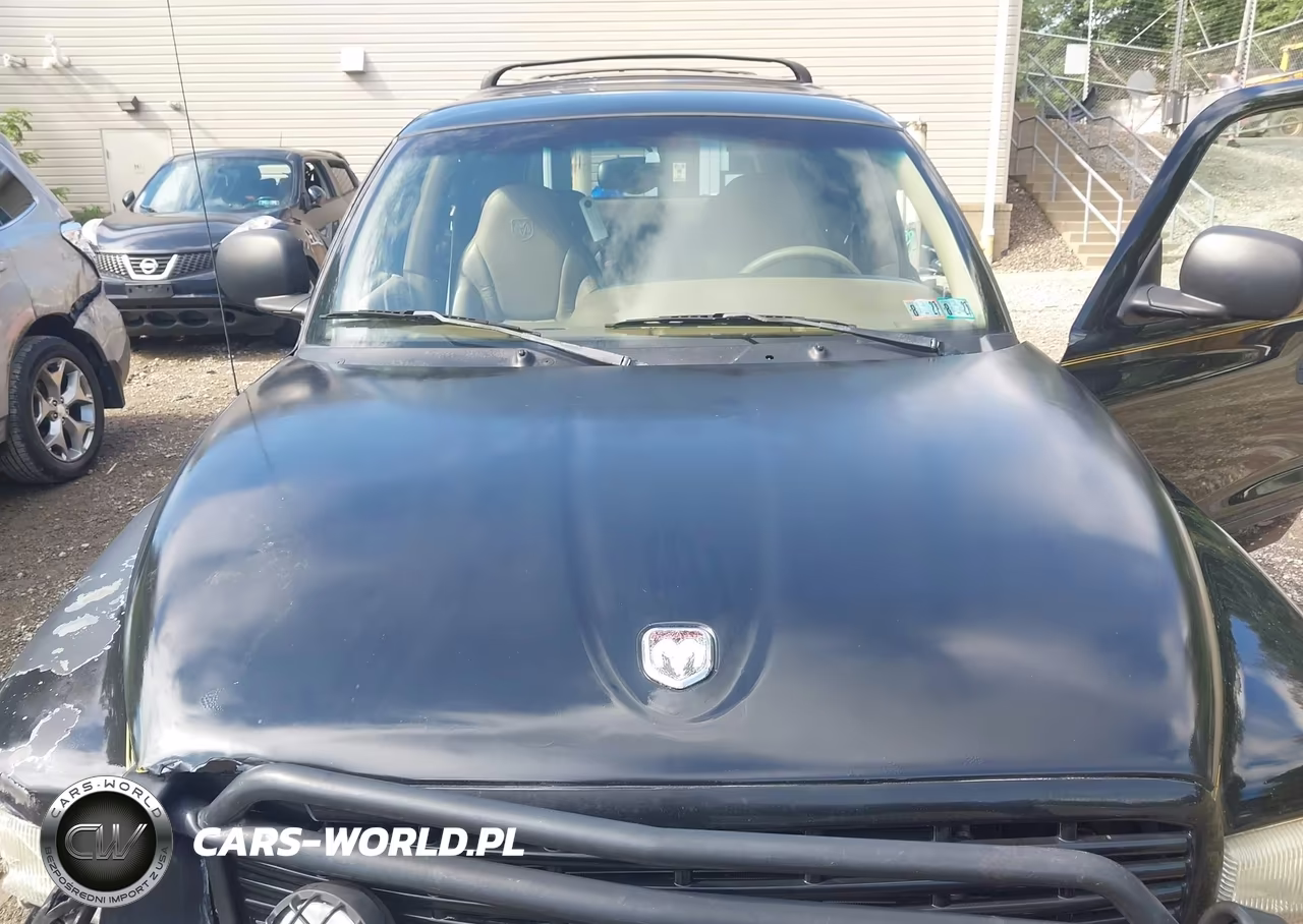 2000 Dodge Durango VIN:1B4HR28Z3YF187442 - 10