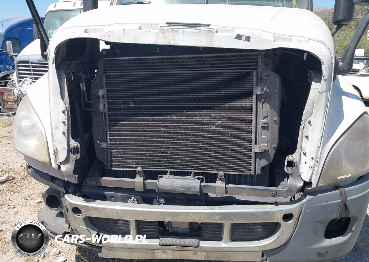 2014 Freightliner Cascadia 125 VIN:3AKJGLD50ESFK2883 - 11