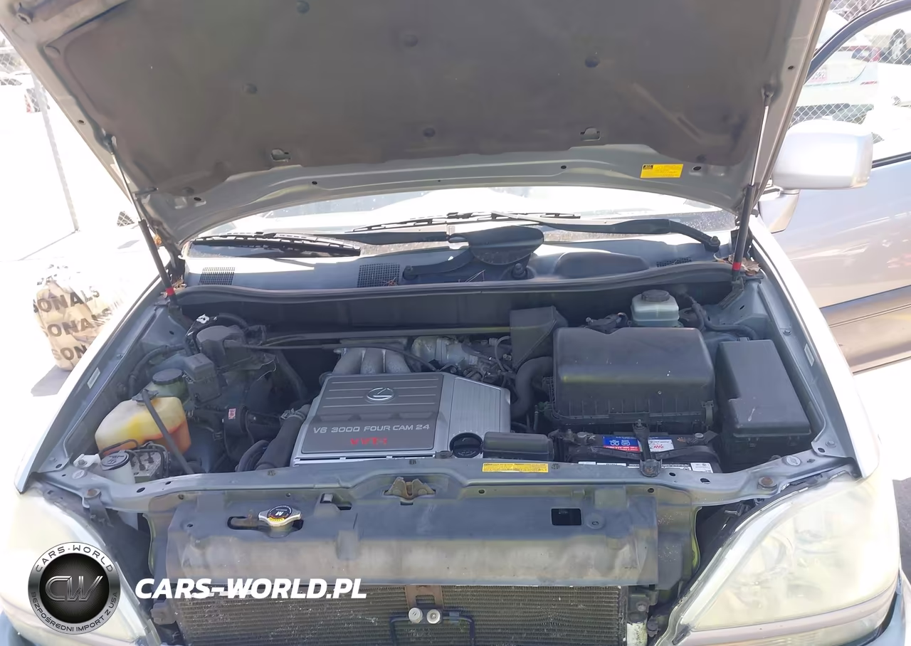 2003 Lexus Rx 300 VIN:JTJGF10U630161413 - 10