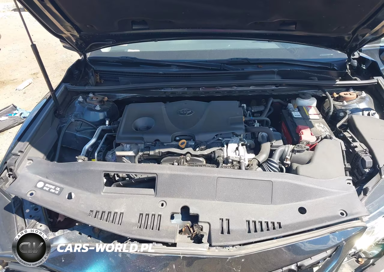 2019 Toyota Camry Se VIN:4T1B11HK3KU855073 - 10