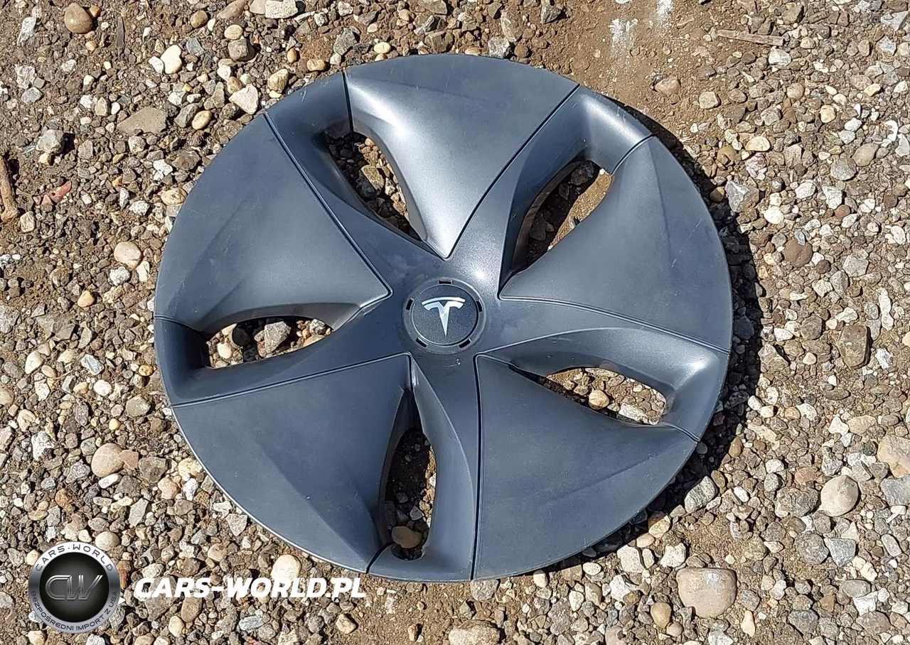 2020 Tesla Model 3 Standard Range Plus Rear-Wheel Drive-Standard Range Rear-Wheel Drive VIN:5YJ3E1EA7LF612532 - 11