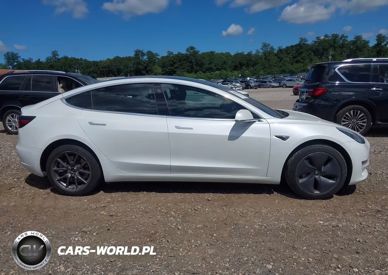 2020 Tesla Model 3 Standard Range Plus Rear-Wheel Drive-Standard Range Rear-Wheel Drive VIN:5YJ3E1EA7LF612532 - 13