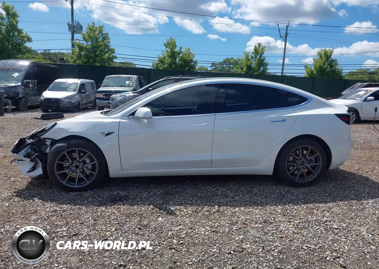 2020 Tesla Model 3 Standard Range Plus Rear-Wheel Drive-Standard Range Rear-Wheel Drive VIN:5YJ3E1EA7LF612532 - 14