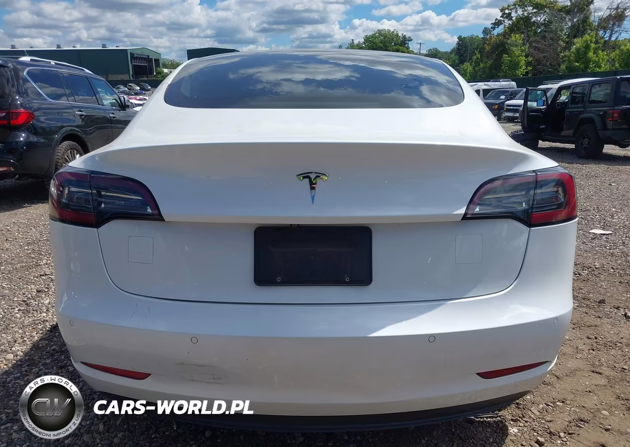 2020 Tesla Model 3 Standard Range Plus Rear-Wheel Drive-Standard Range Rear-Wheel Drive VIN:5YJ3E1EA7LF612532 - 16