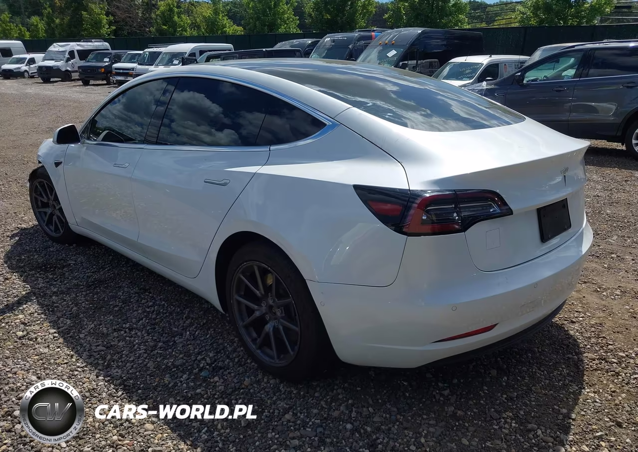 2020 Tesla Model 3 Standard Range Plus Rear-Wheel Drive-Standard Range Rear-Wheel Drive VIN:5YJ3E1EA7LF612532 - 3