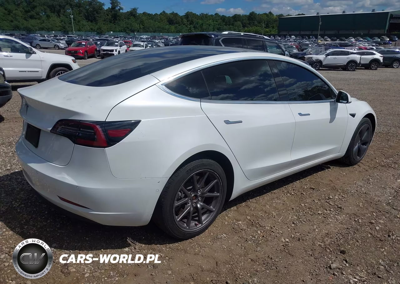 2020 Tesla Model 3 Standard Range Plus Rear-Wheel Drive-Standard Range Rear-Wheel Drive VIN:5YJ3E1EA7LF612532 - 4