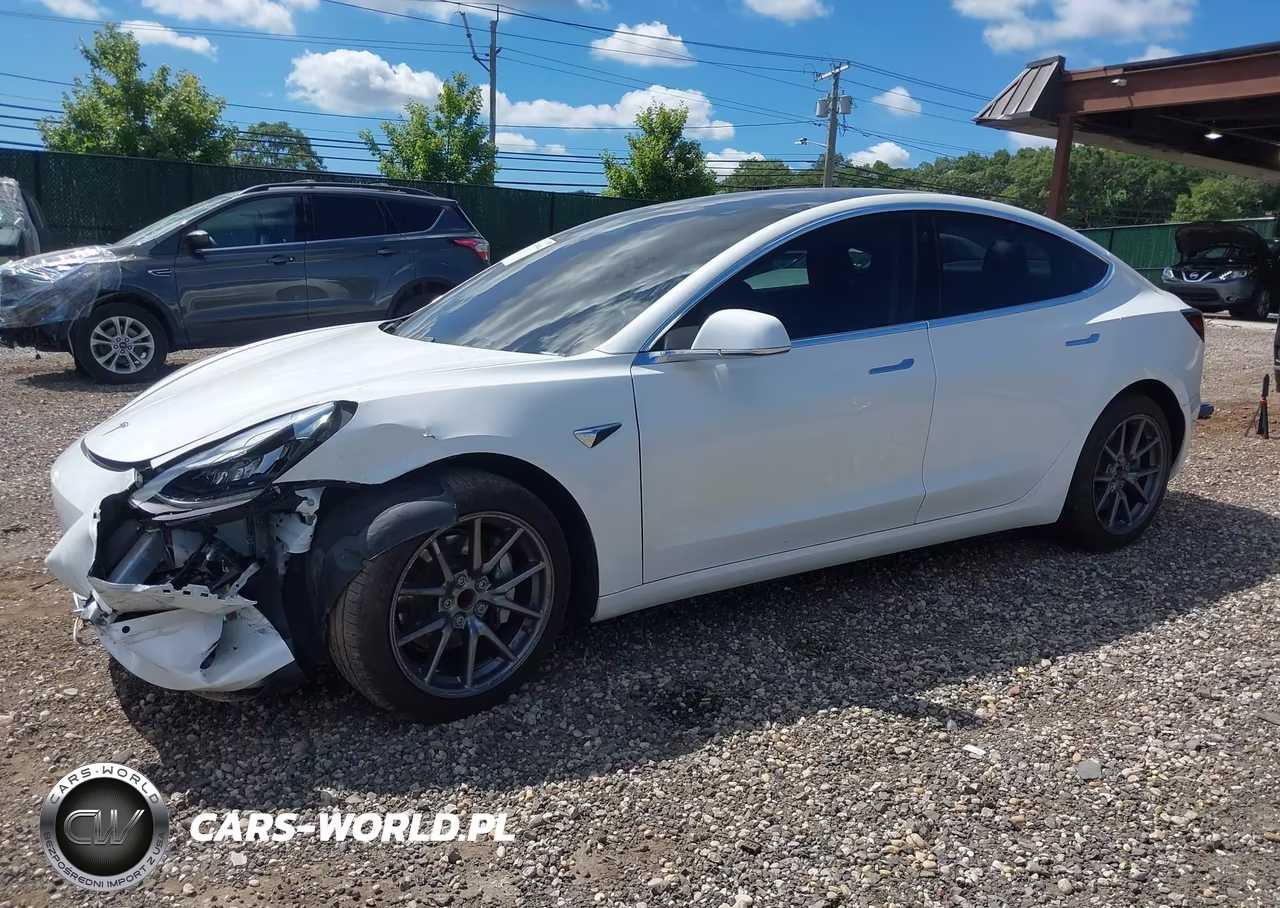 2020 Tesla Model 3 Standard Range Plus Rear-Wheel Drive-Standard Range Rear-Wheel Drive VIN:5YJ3E1EA7LF612532 - 6