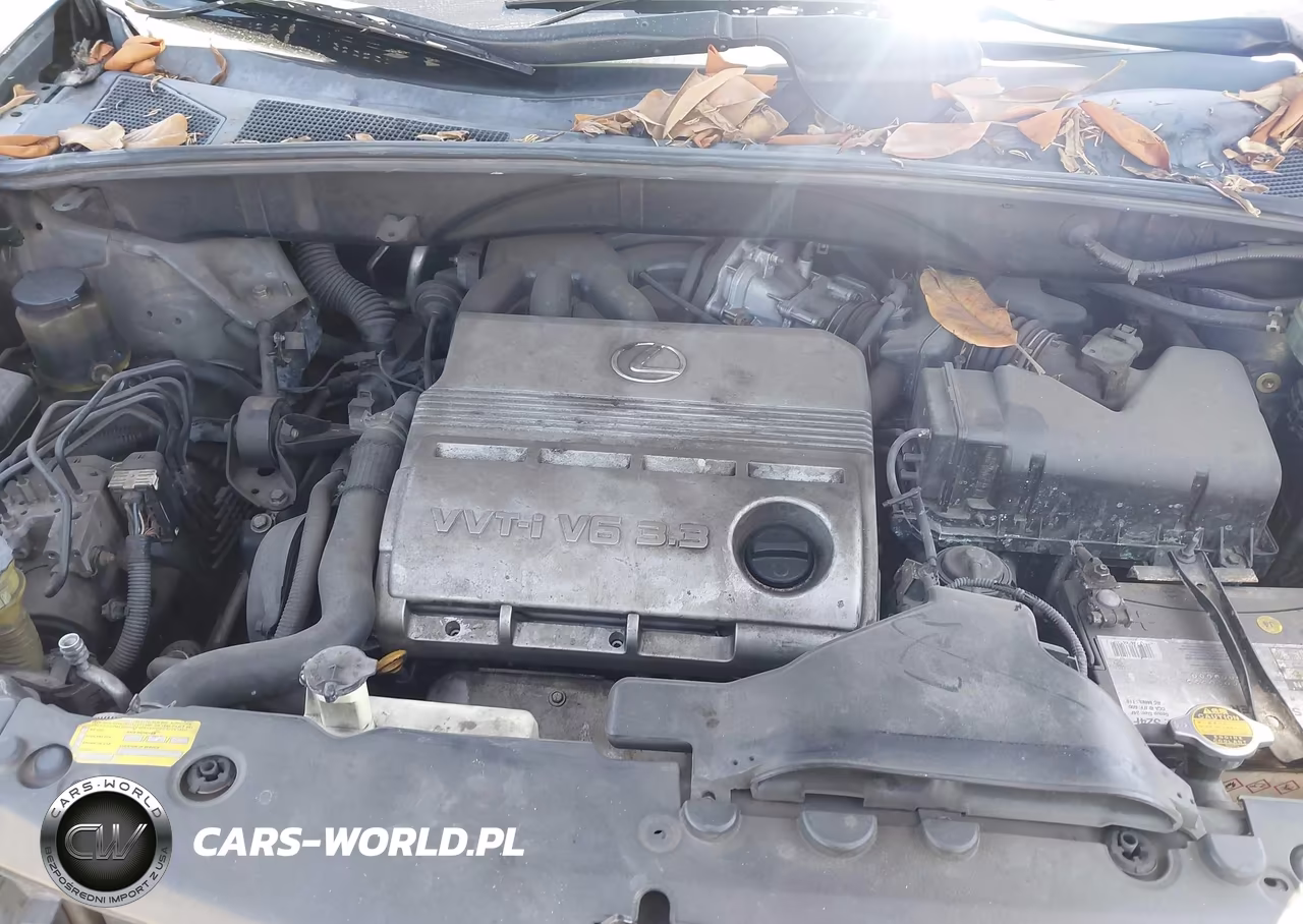 2004 Lexus Rx 330 VIN:JTJGA31U340040736 - 10