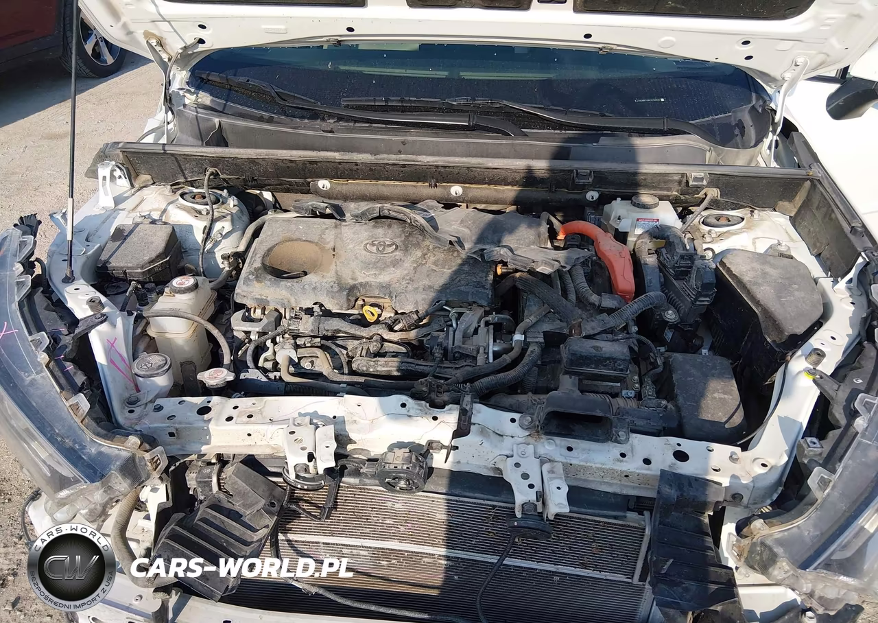 2019 Toyota Rav4 Hybrid Limited VIN:JTMDWRFV8KD036893 - 10