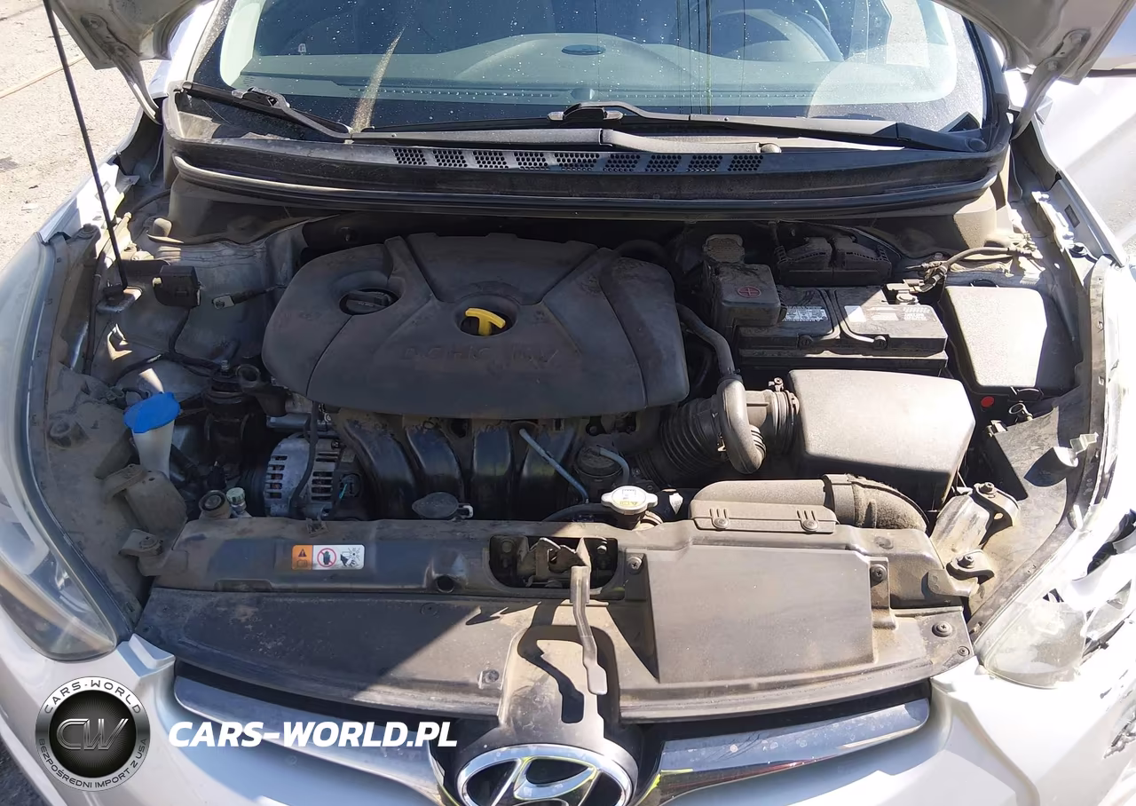 2014 Hyundai Elantra Limited VIN:5NPDH4AEXEH488816 - 10