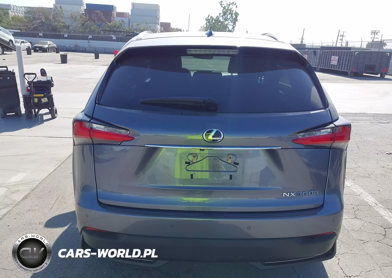 2017 Lexus Nx 300H VIN:JTJBJRBZ6H2051800 - 17