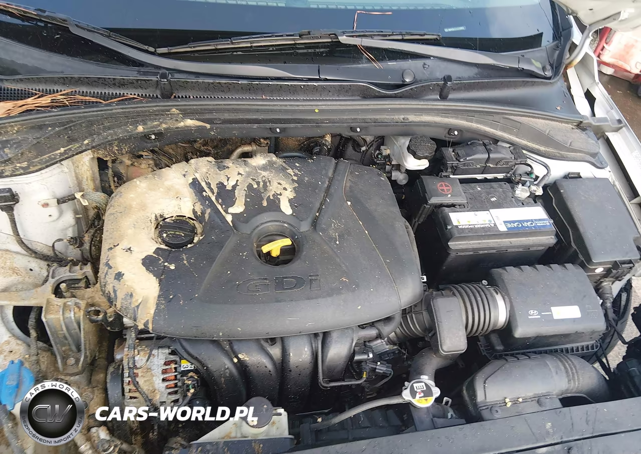 2020 Hyundai Elantra Gt VIN:KMHH35LE1LU133843 - 10