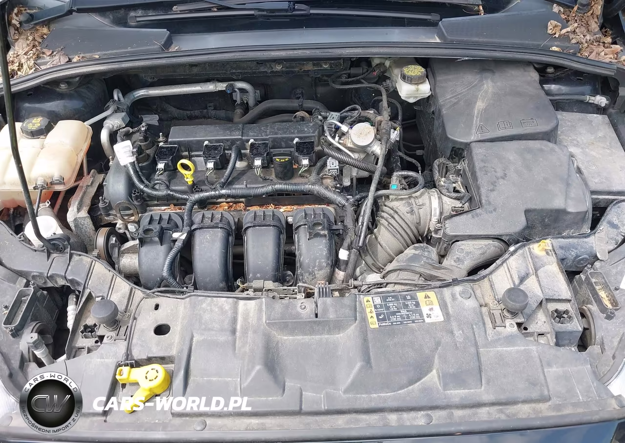 2017 Ford Focus Sel VIN:1FADP3H25HL317714 - 10