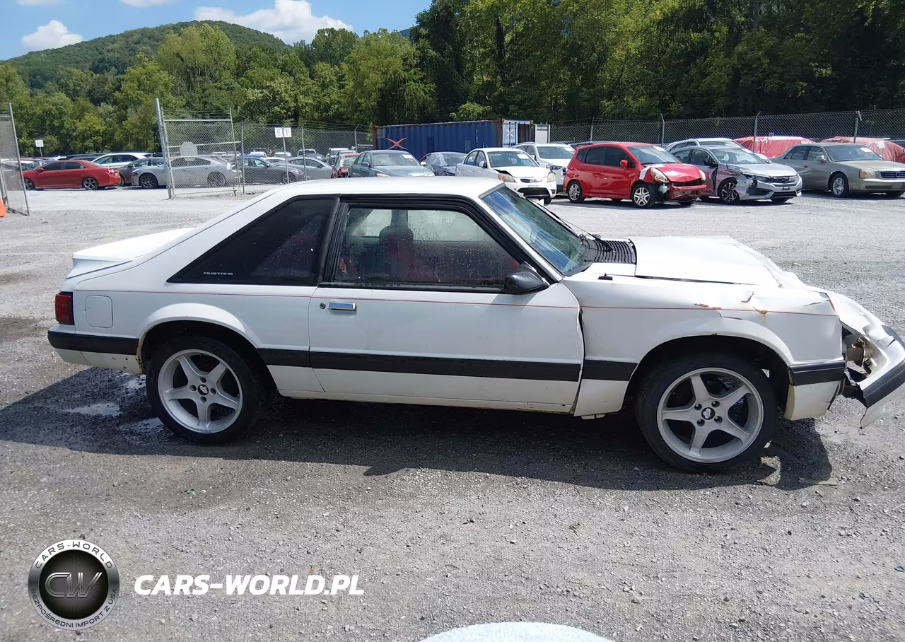 1991 Ford Mustang Lx VIN:1FACP41M1MF176971 - 13