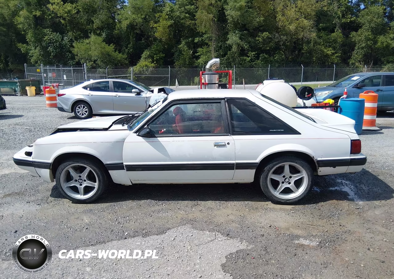 1991 Ford Mustang Lx VIN:1FACP41M1MF176971 - 14