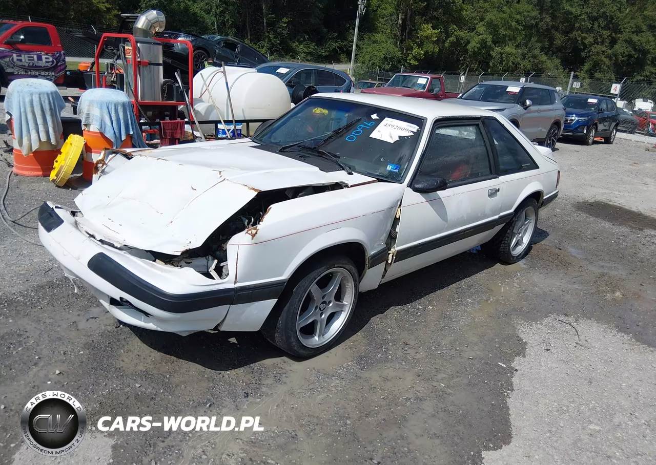 1991 Ford Mustang Lx VIN:1FACP41M1MF176971 - 2