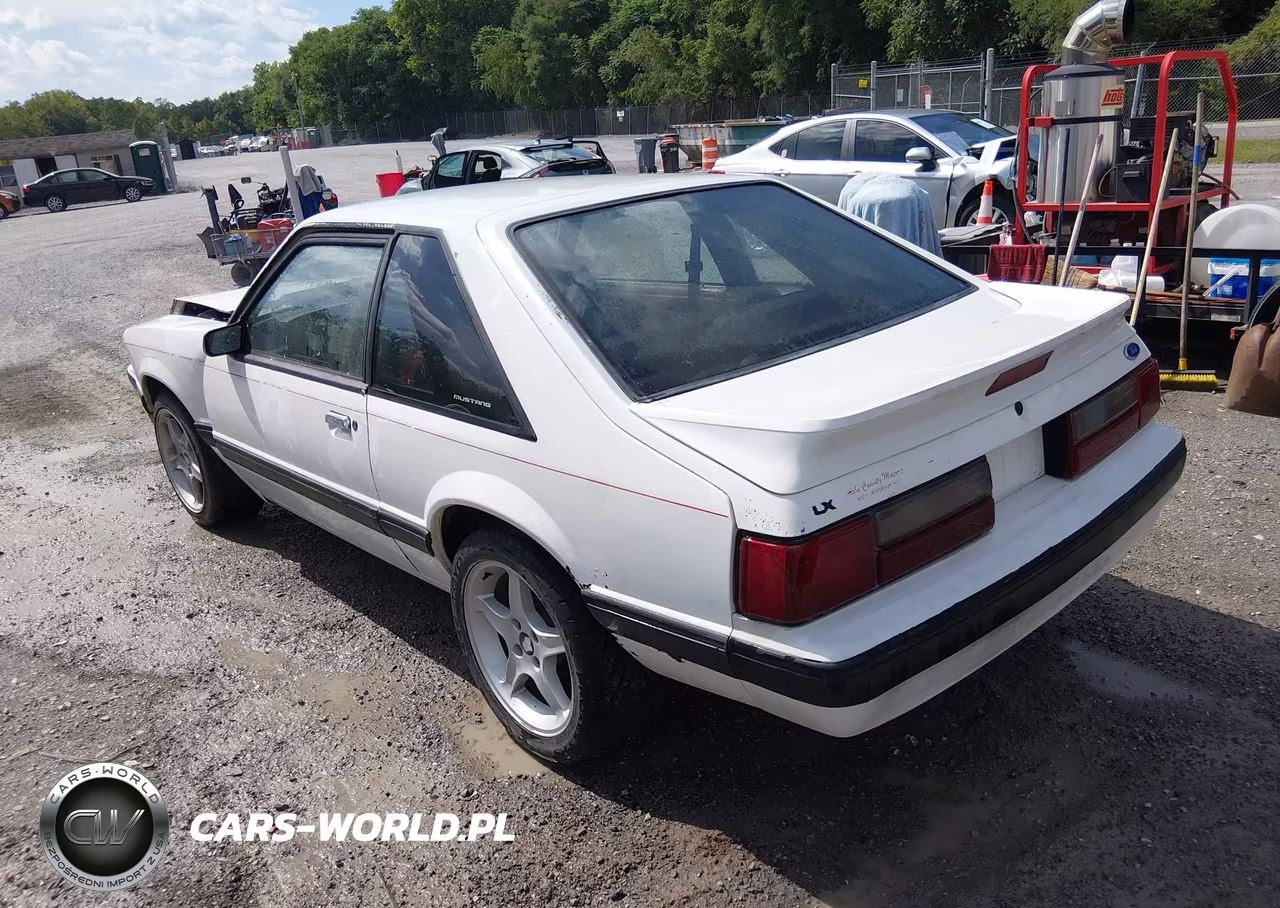 1991 Ford Mustang Lx VIN:1FACP41M1MF176971 - 3