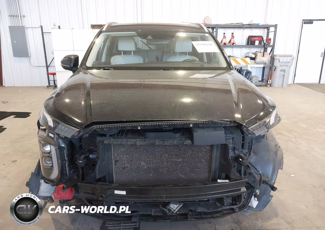 2020 Hyundai Palisade Limited VIN:KM8R5DHE8LU101179 - 13