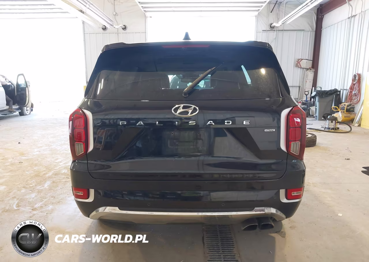 2020 Hyundai Palisade Limited VIN:KM8R5DHE8LU101179 - 17