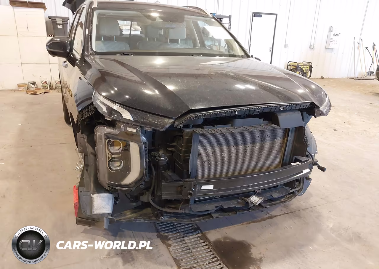 2020 Hyundai Palisade Limited VIN:KM8R5DHE8LU101179 - 6