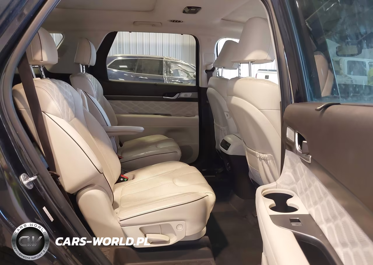 2020 Hyundai Palisade Limited VIN:KM8R5DHE8LU101179 - 8