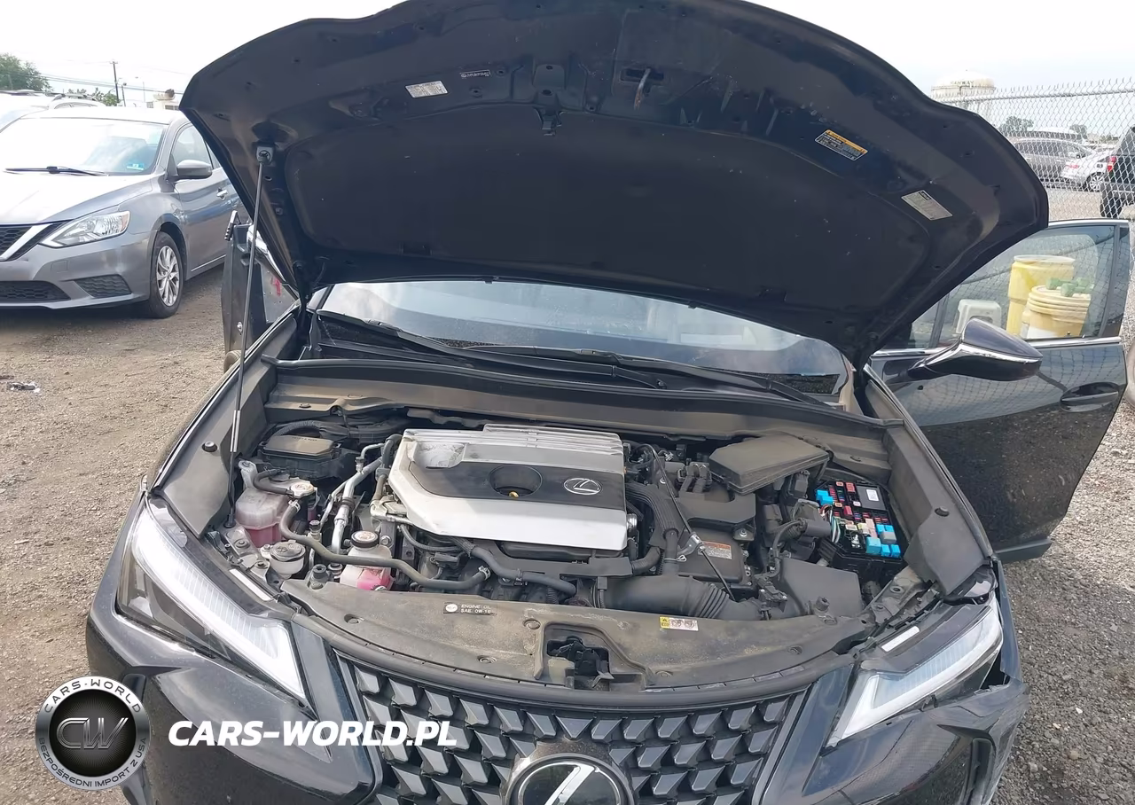 2023 Lexus Ux 250H Premium VIN:JTHP9JBH7P2064613 - 10